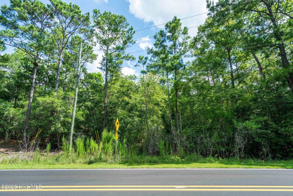 Photo of 205 Creekview Drive, Hampstead, NC 28443 (MLS # 100601856)