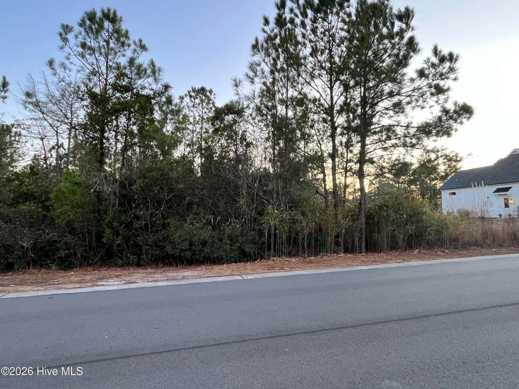 Photo of 2961 Old Berwick Street SW, Shallotte, NC 28470 (MLS # 100594343)