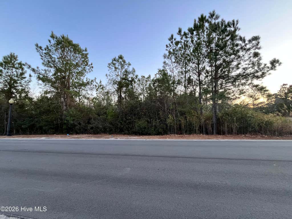 Photo of 2961 Old Berwick Street SW, Shallotte, NC 28470 (MLS # 100594343)