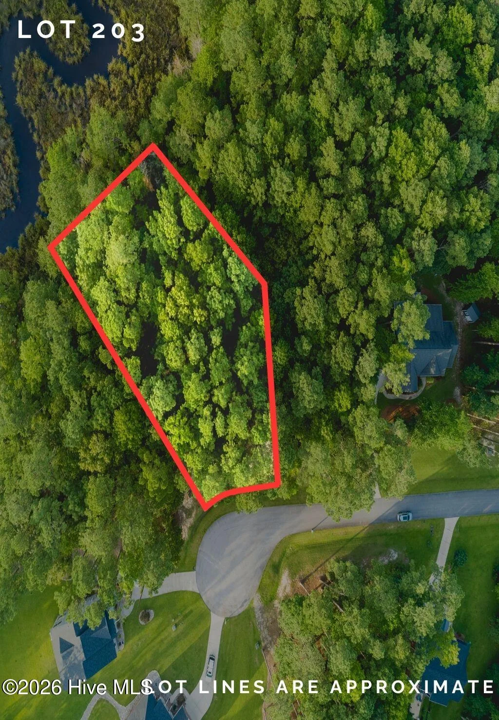 292 N Brightleaf Drive