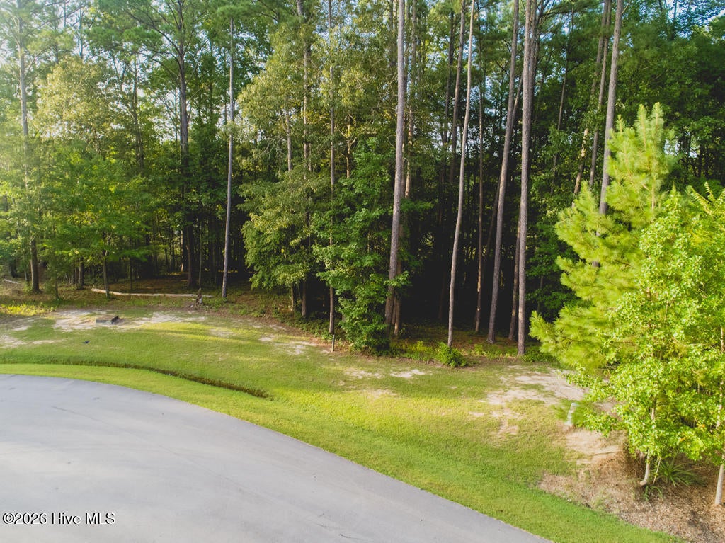 Photo of 292 N Brightleaf Drive, Minnesott Beach, NC 28510 (MLS # 100590552)