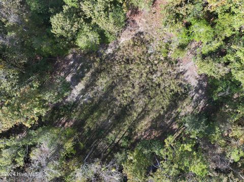 Tiny photo for 142 North Line Drive, Hampstead, NC 28443 (MLS # 100566668)