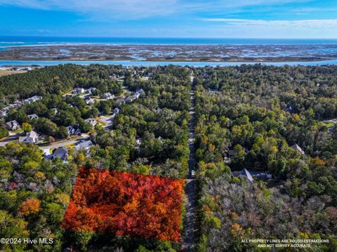 Photo of 142 North Line Drive, Hampstead, NC 28443 (MLS # 100566668)