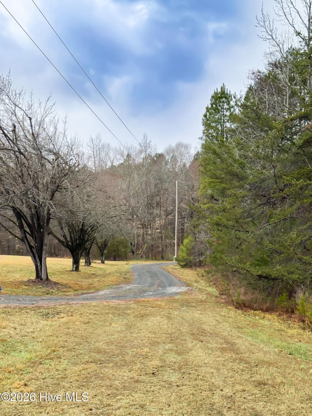 Photo of 2754 Olivian Corbett Road, Cedar Grove, NC 27231 (MLS # 100556383)