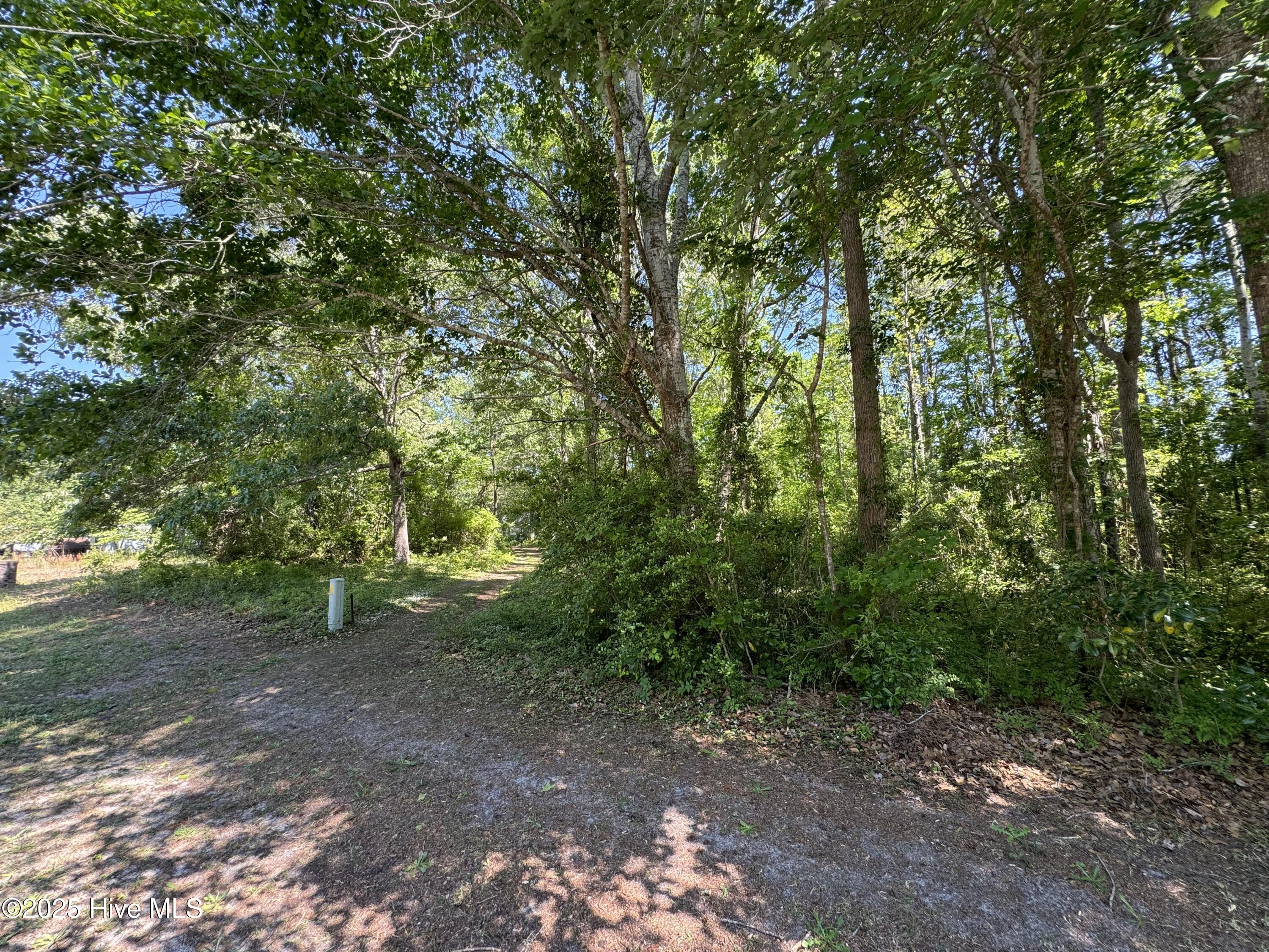 2213 Forest Drive SW