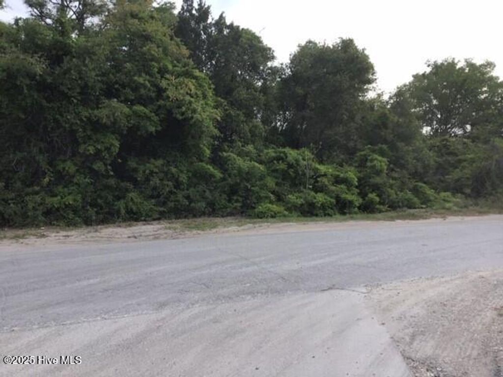 Photo of 139 Bryan Road, Wilmington, NC 28401 (MLS # 100502644)