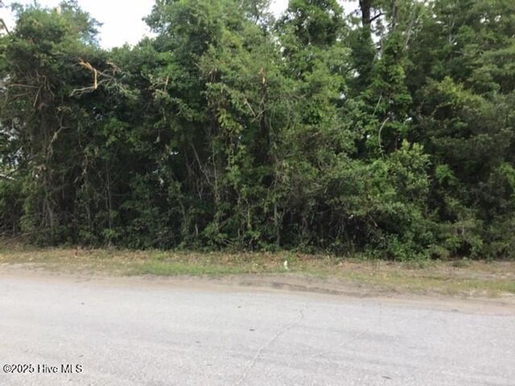 Photo of 139 Bryan Road, Wilmington, NC 28401 (MLS # 100502644)