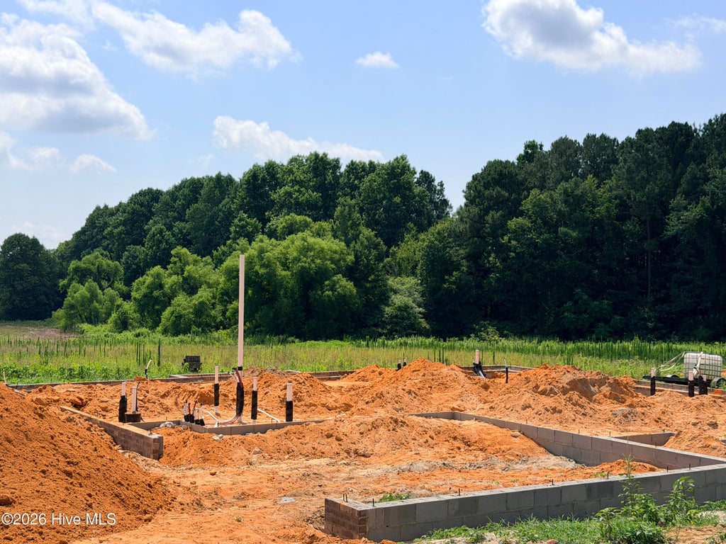 Photo of 185 Bibey Road #Lot 3, Carthage, NC 28327 (MLS # 100587268)