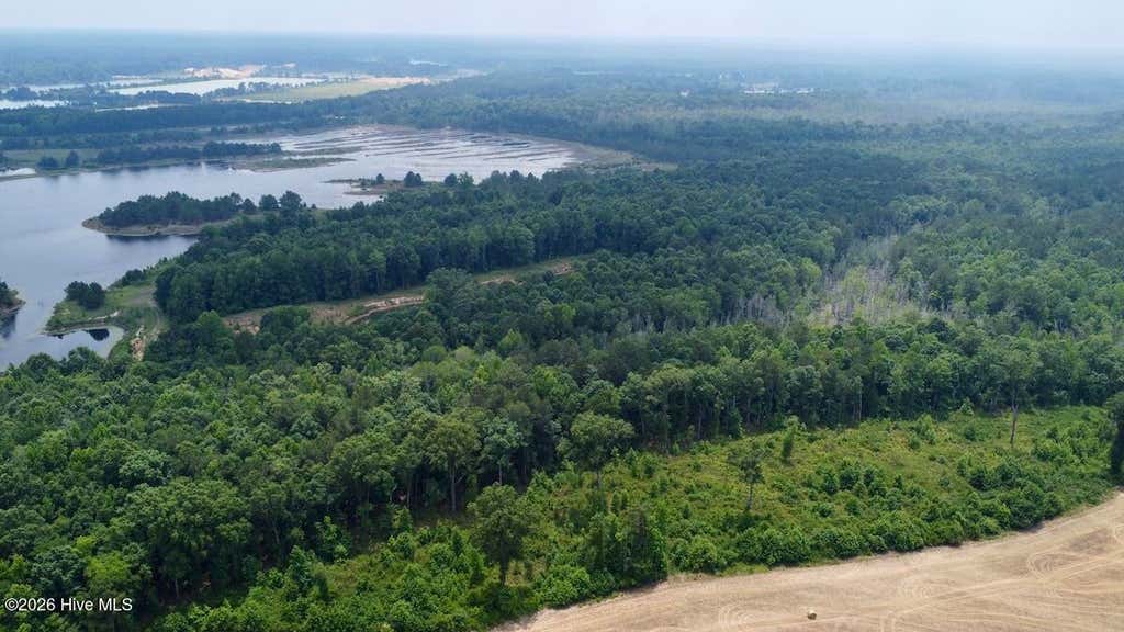 Photo of 1 Titan Roberts Rd, Erwin, NC 28339 (MLS # 100581930)