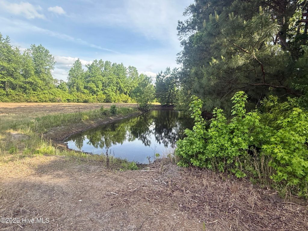 Photo of 12155 Carolina 41, Bladenboro, NC 28320 (MLS # 100575169)