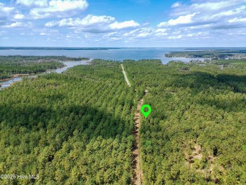 Vacant Land For Sale - 22 Sandy Point Road<br/> Scranton, NC 27875