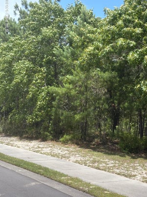 3005 ARUNDEL HL SW, SHALLOTTE, NC 28470 - Image fe6a77bf80134e9018ce8db6476b64c3/3934948389