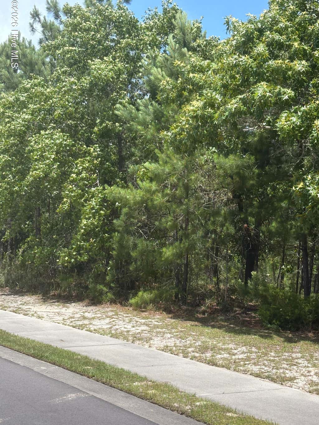 Photo of 3005 Arundel Hill SW, Shallotte, NC 28470 (MLS # 100584034)