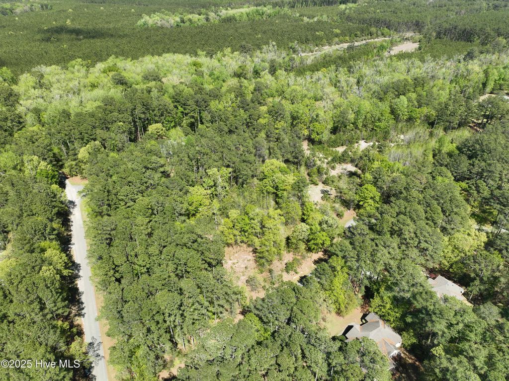 Photo of 607 Pamlico River Drive, Washington, NC 27889 (MLS # 100500179)