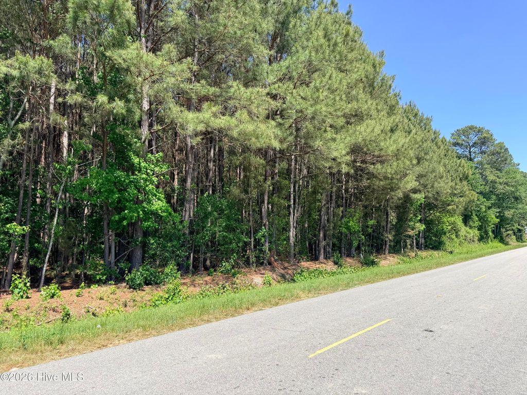 Photo of 2 Mt Carmel Church Road, Autryville, NC 28318 (MLS # 100568054)