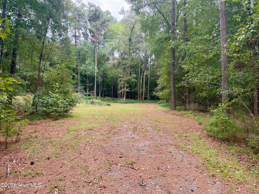 Photo of 0 Mclawhorn Farm Road, Greenville, NC 27858 (MLS # 100608529)