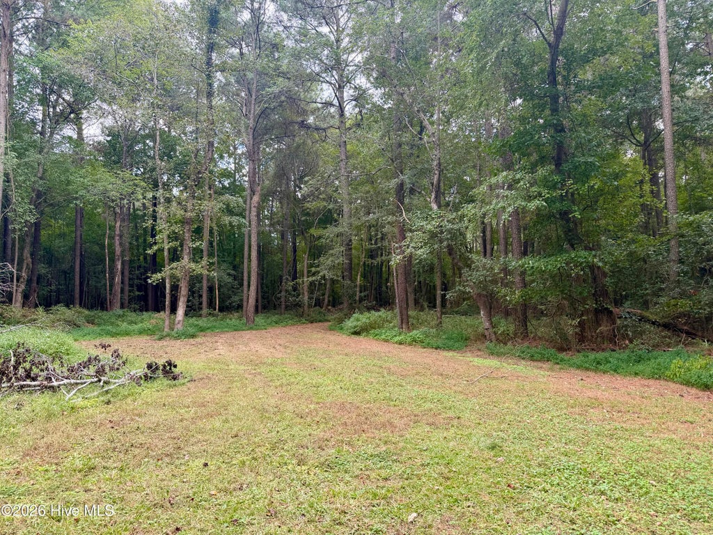 Photo of 0 Mclawhorn Farm Road, Greenville, NC 27858 (MLS # 100608529)