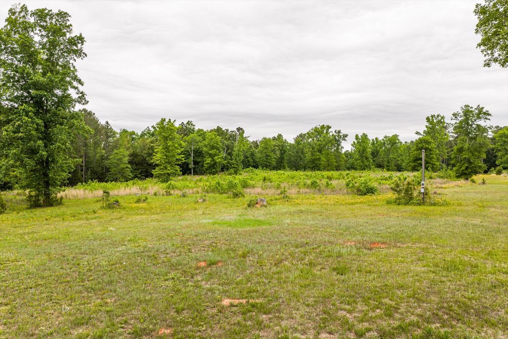 Photo of 3776 Mt Zion Church Road, Lincolnton, GA 30817 (MLS # 555423)