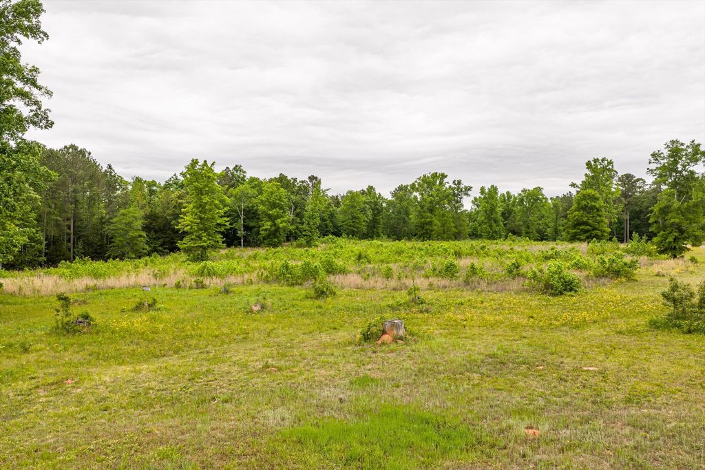 Photo of 3776 Mt Zion Church Road, Lincolnton, GA 30817 (MLS # 555423)