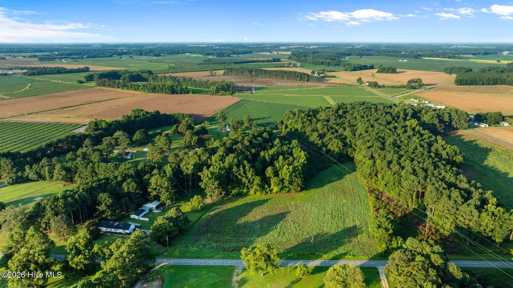 Photo of 2 Old Smith Chapel Road, Mount Olive, NC 28365 (MLS # 100601084)