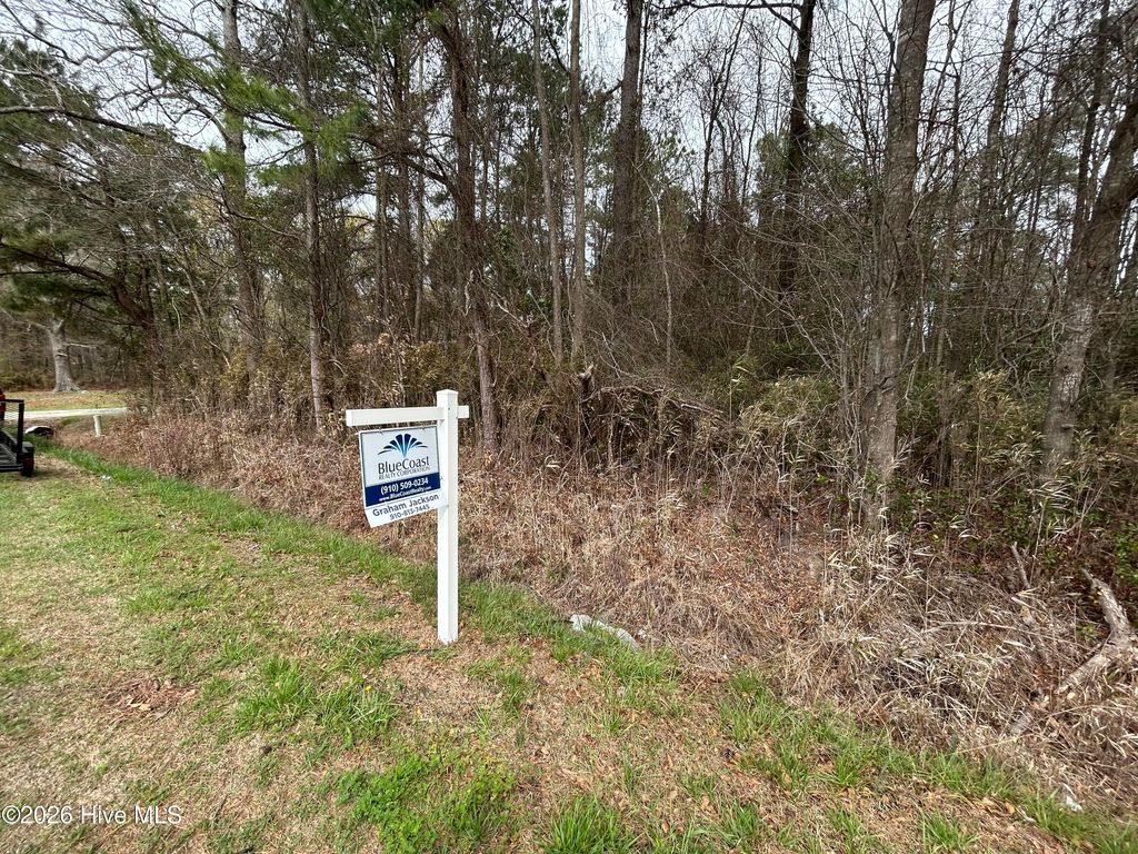 Photo of 10987 Providence Church Road, Teachey, NC 28464 (MLS # 100560469)