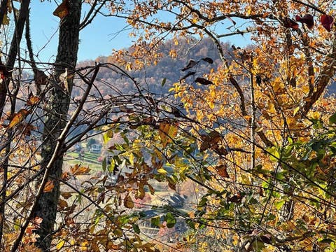 Vacant Land For Sale - LOT 37M Ridges<br/> Hayesville, NC 28904