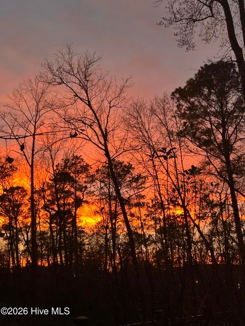 Tiny photo for 9738 Salty Apple Circle NE, Leland, NC 28451 (MLS # 100552333)