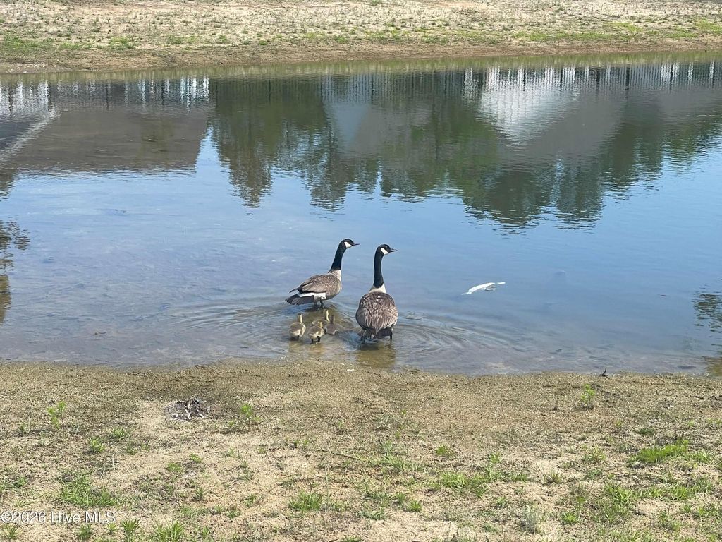 Photo of 9738 Salty Apple Circle NE, Leland, NC 28451 (MLS # 100552333)