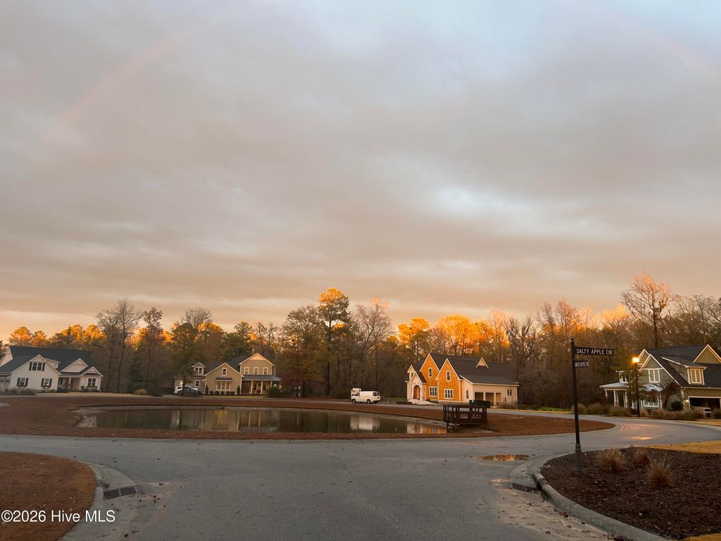 Photo of 9738 Salty Apple Circle NE, Leland, NC 28451 (MLS # 100552333)