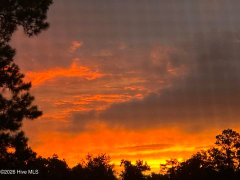 Tiny photo for 9738 Salty Apple Circle NE, Leland, NC 28451 (MLS # 100552333)