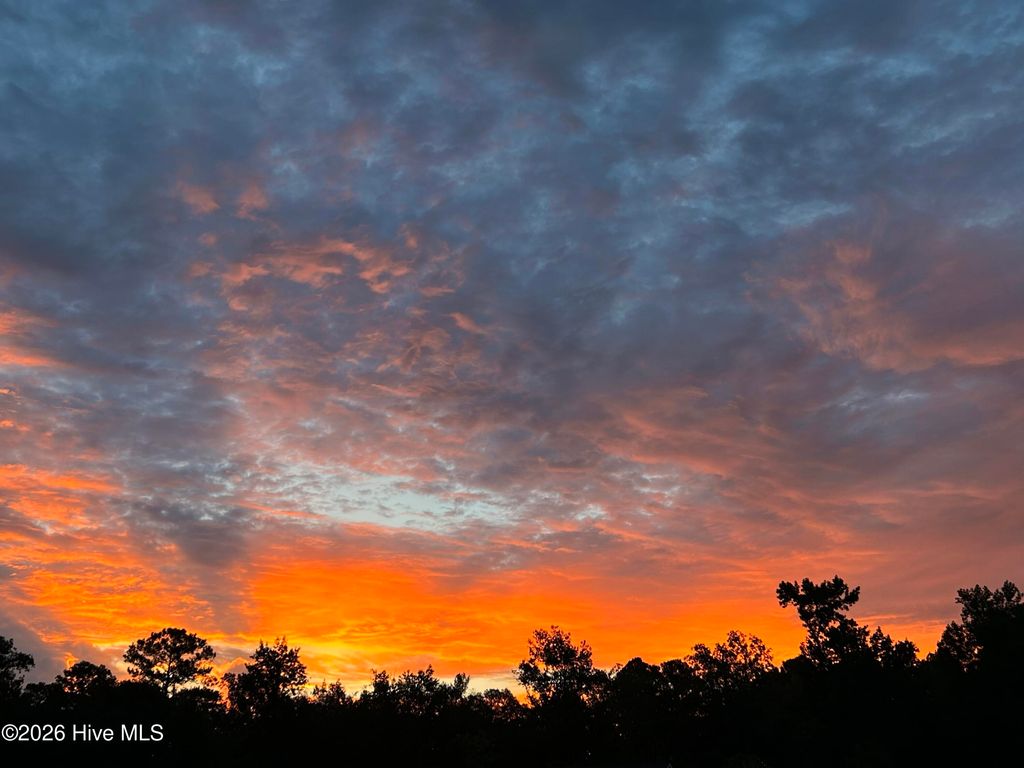 Photo of 9738 Salty Apple Circle NE, Leland, NC 28451 (MLS # 100552333)