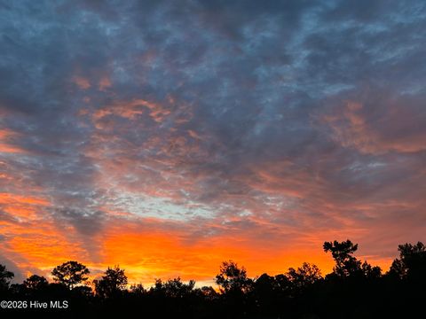 Tiny photo for 9738 Salty Apple Circle NE, Leland, NC 28451 (MLS # 100552333)