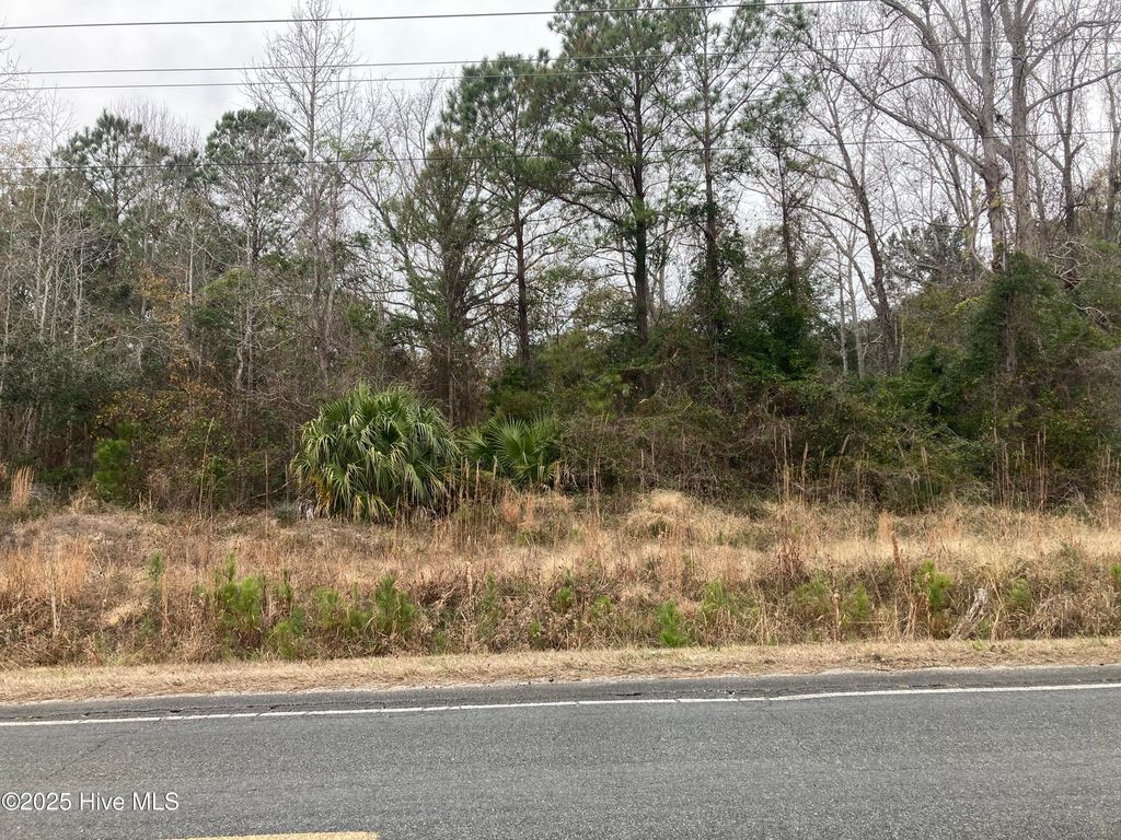 Photo of 0 Hale Swamp Road Road SW, Shallotte, NC 28470 (MLS # 100546109)