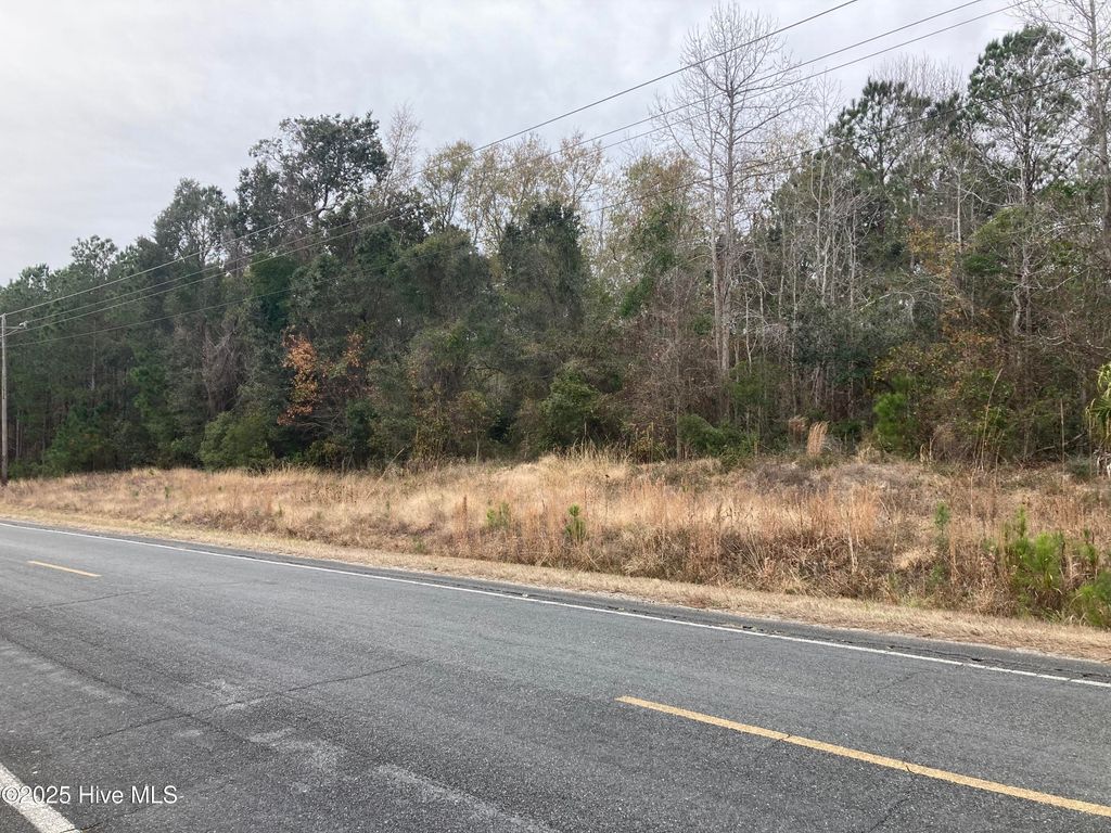 Photo of 0 Hale Swamp Road Road SW, Shallotte, NC 28470 (MLS # 100546109)