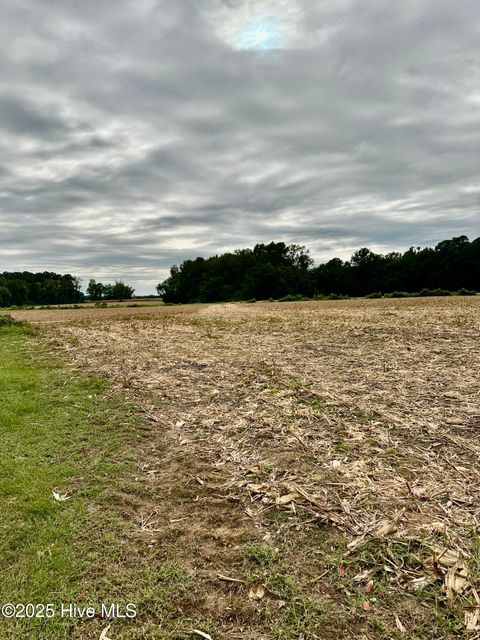 Vacant Land For Sale - 644 Cherry Town Road<br/> Hallsboro, NC 28442