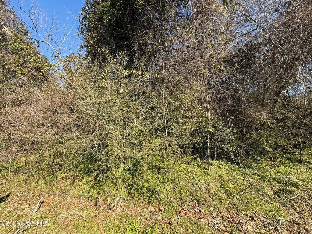 Photo of Tbd Firehouse Road, Chinquapin, NC 28521 (MLS # 100553899)