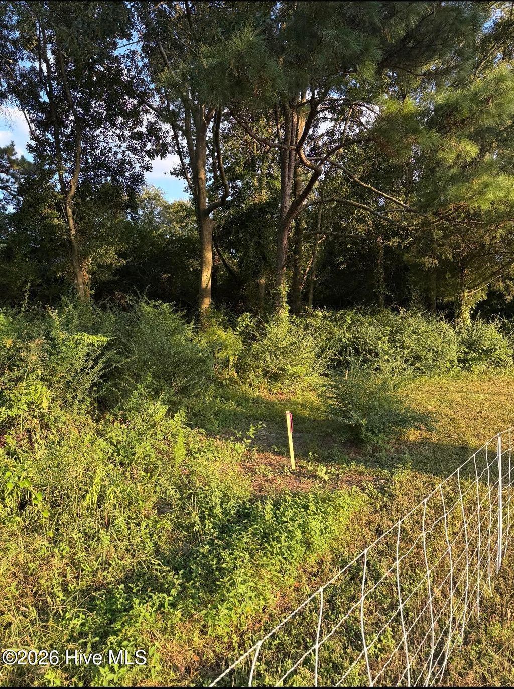 Photo of Tbd Firehouse Road, Chinquapin, NC 28521 (MLS # 100553899)