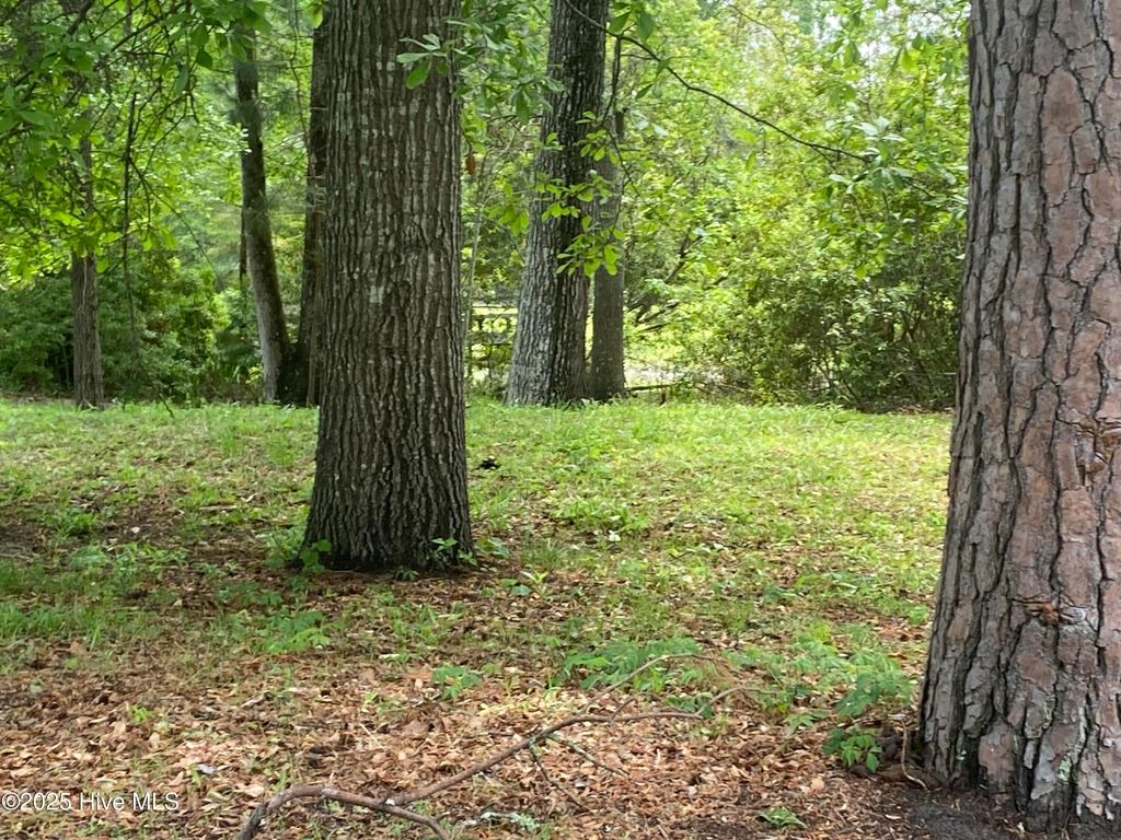 Photo of 165 Hawks Pond Road, New Bern, NC 28562 (MLS # 100503734)