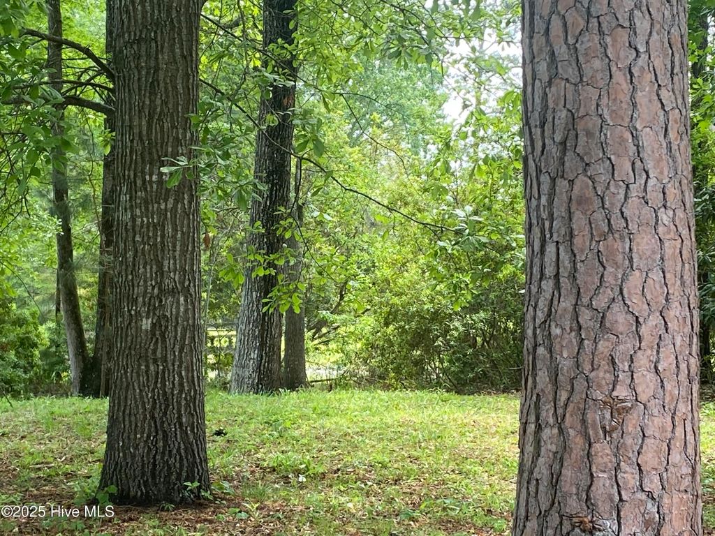 Photo of 165 Hawks Pond Road, New Bern, NC 28562 (MLS # 100503734)