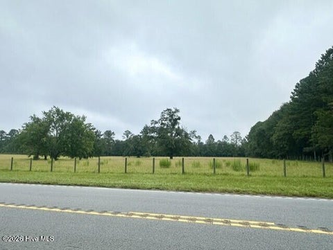 Vacant Land For Sale - Bettis Academy Road<br/> Trenton, SC 29847