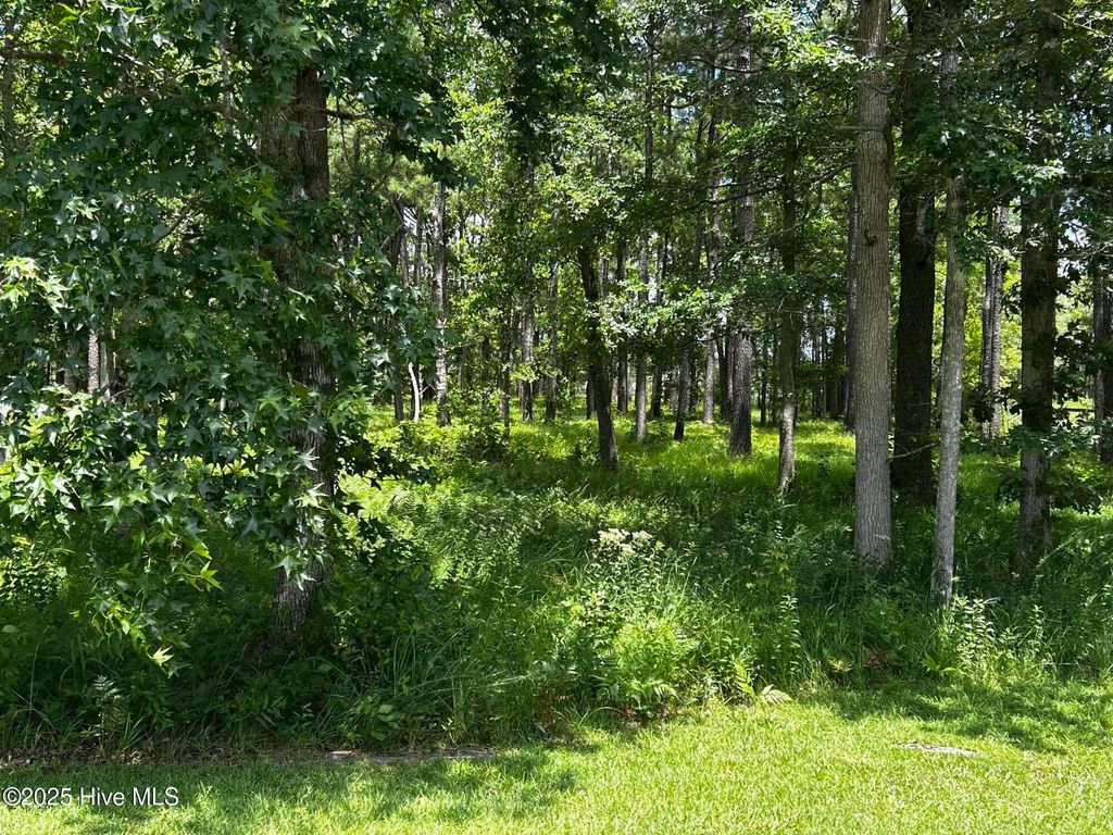 Photo of 162 Sunshine Drive, Arapahoe, NC 28510 (MLS # 100522400)