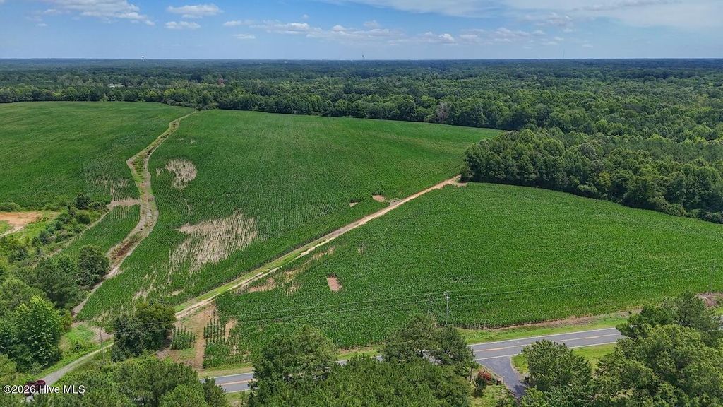 Photo of 1 Titan Roberts Road, Erwin, NC 28339 (MLS # 100589339)