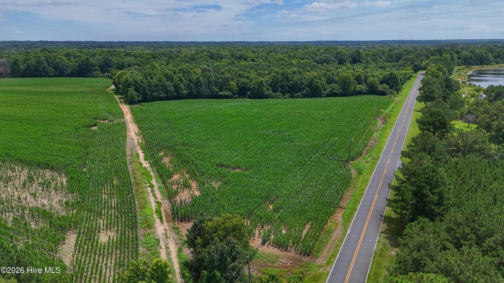 Photo of 1 Titan Roberts Road, Erwin, NC 28339 (MLS # 100589339)