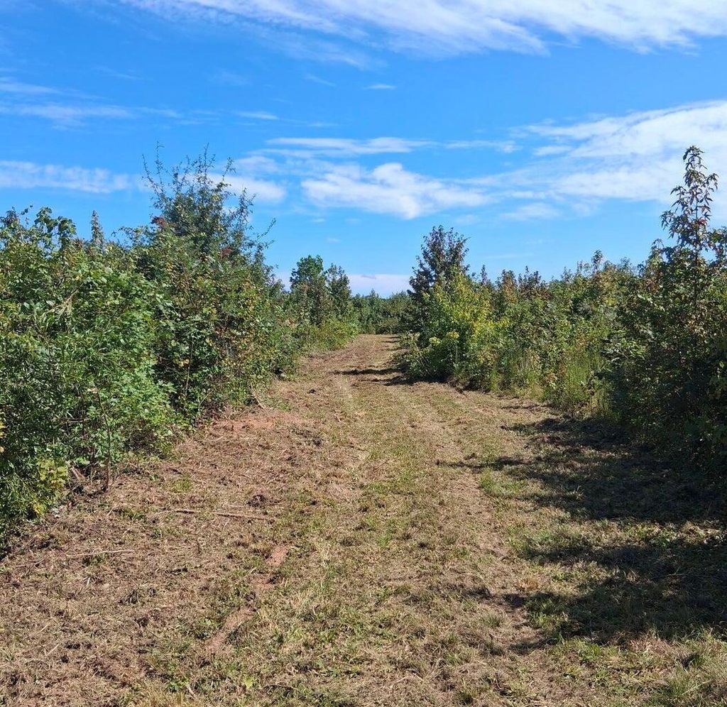 Photo of 10 Bowie Road, Troy, SC 29848 (MLS # 551000)