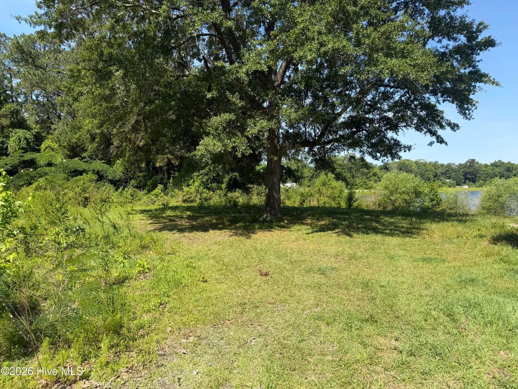 Photo of 2078 Catherine Lake Road, Richlands, NC 28574 (MLS # 100579141)