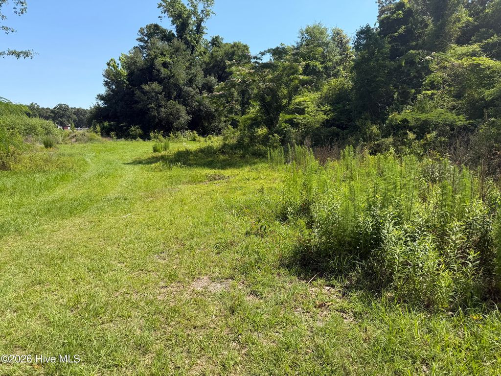 Photo of 2078 Catherine Lake Road, Richlands, NC 28574 (MLS # 100579141)