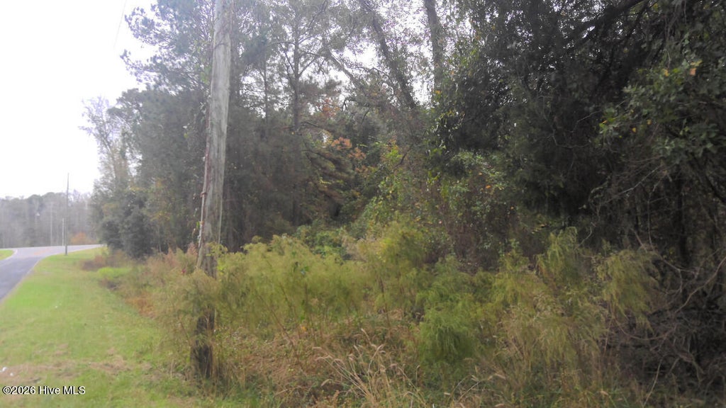 Photo of 202 S Highway 258 S, Kinston, NC 28504 (MLS # 100597024)
