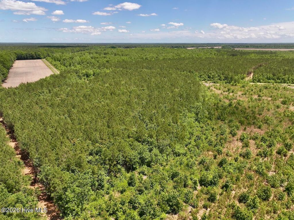 Photo of 0 Guinea Mill Road, Ernul, NC 28527 (MLS # 100575162)