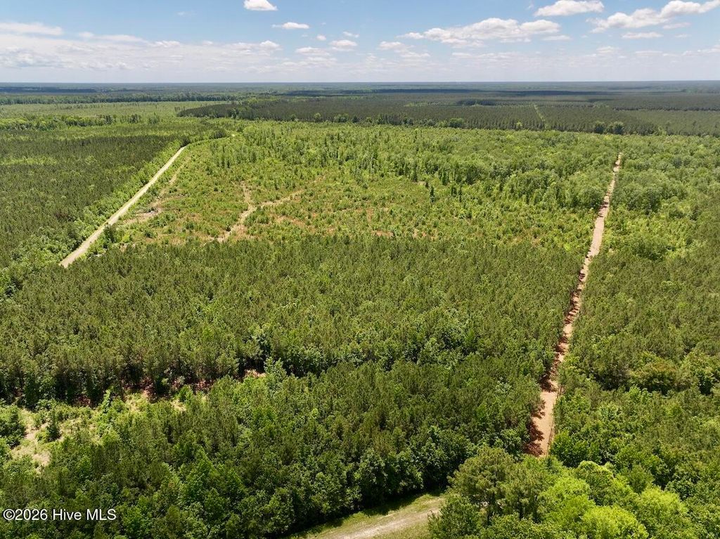 Photo of 0 Guinea Mill Road, Ernul, NC 28527 (MLS # 100575162)