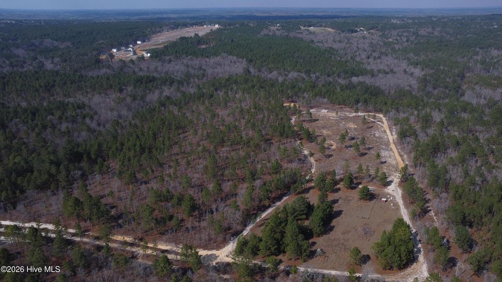 Photo of 1121 D L Phillips Lane, Lillington, NC 27546 (MLS # 100570493)
